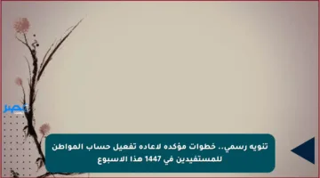 تنويه رسمي.. خطوات مؤكدة لإعادة تفعيل حساب المواطن للمستفيدين في 1447 هذا الأسبوع
